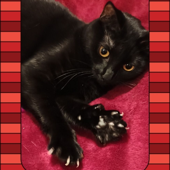 Meet your Posher, Kimberly - Picture 13 of 16